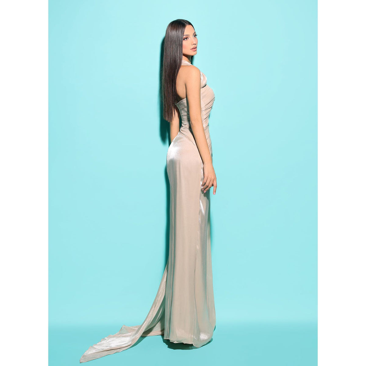 TARIK EDIZ | GISELE DRESS