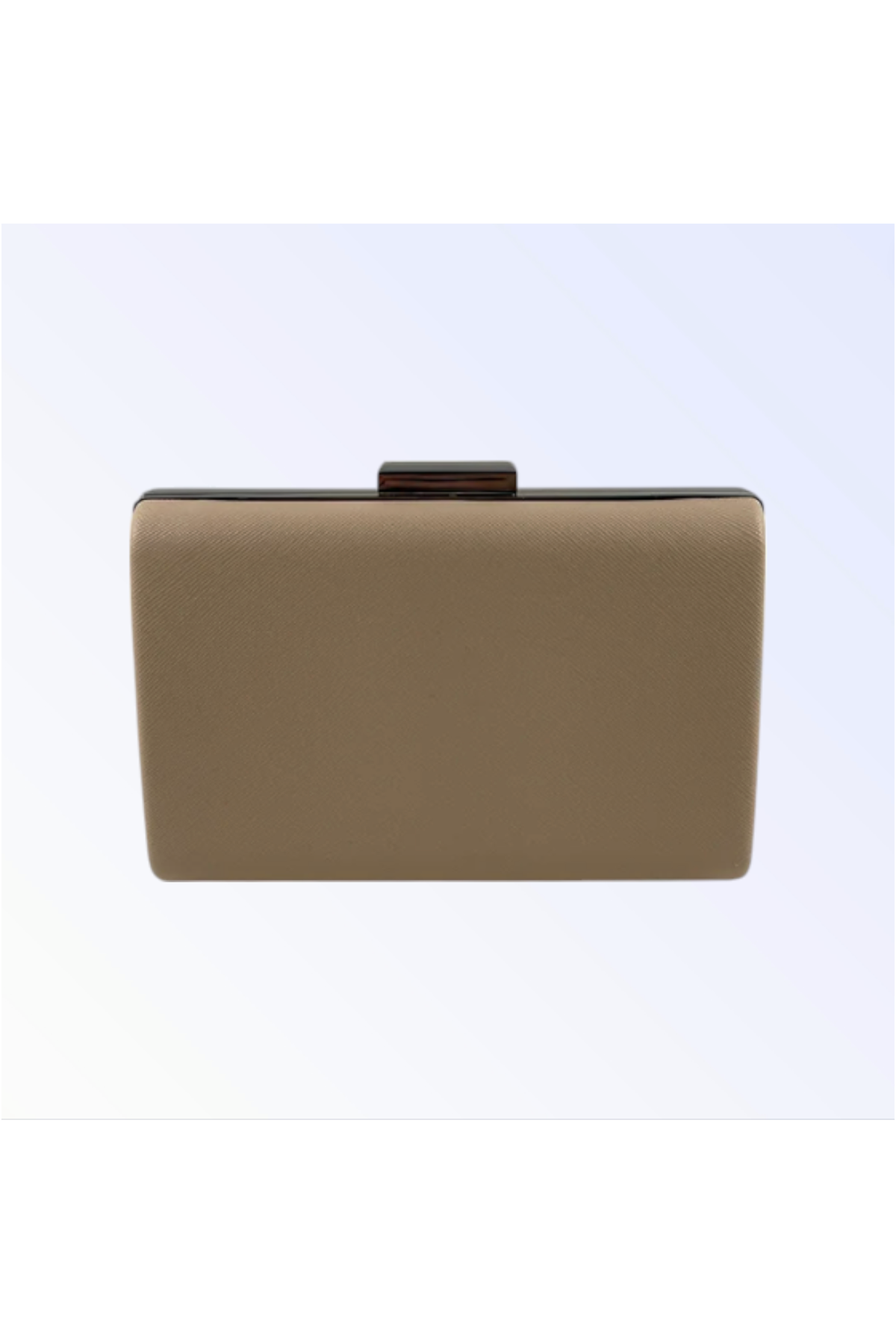 ADRIANA | Rose Nude Clutch