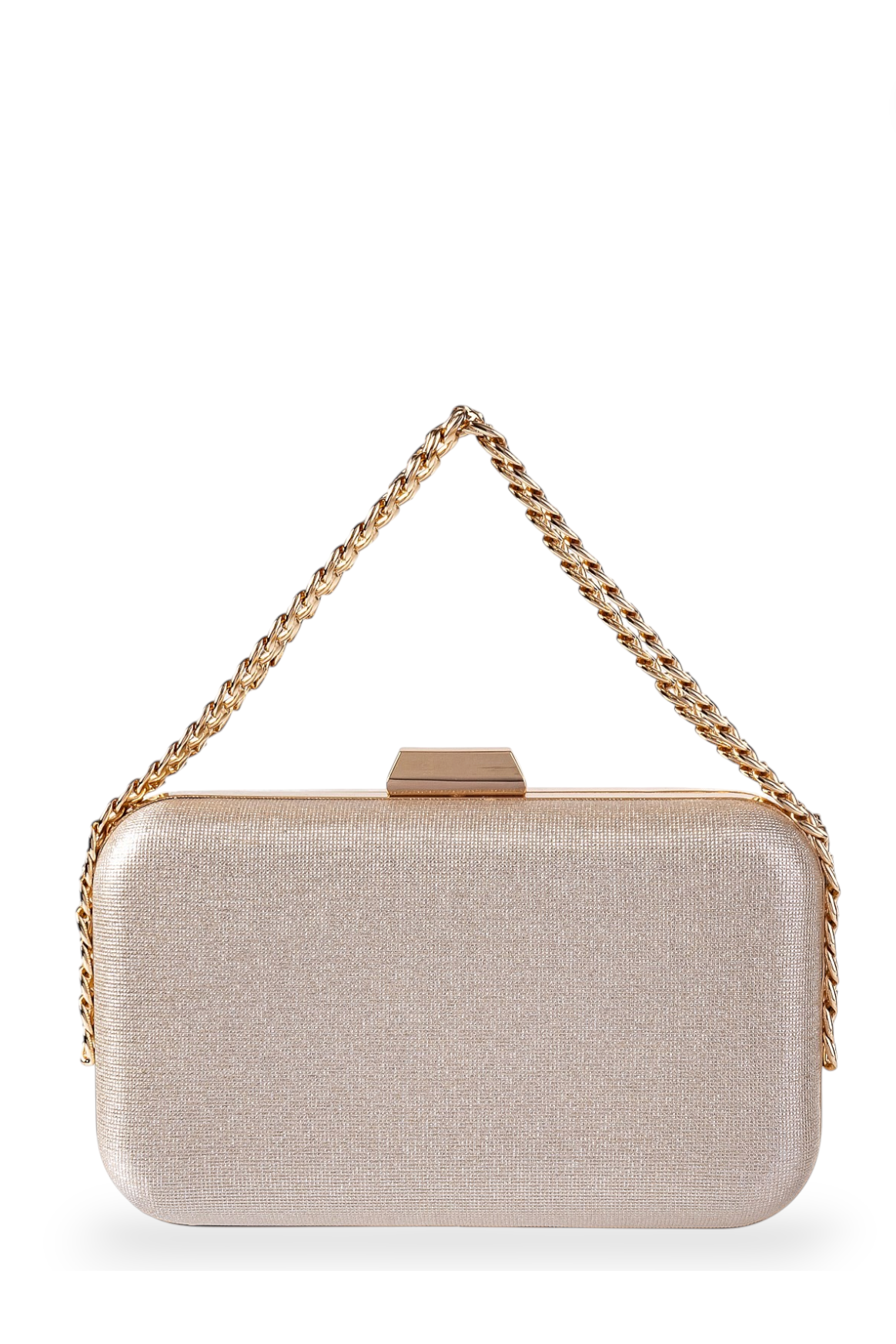 GREGORY LADNER | RECTANGLE CLUTCH BAG - CHAMPAGNE