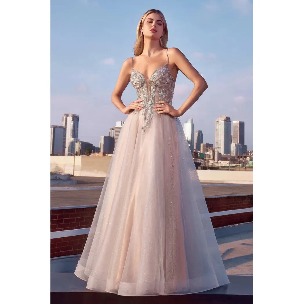 CINDERELLA DIVINE | CC0881