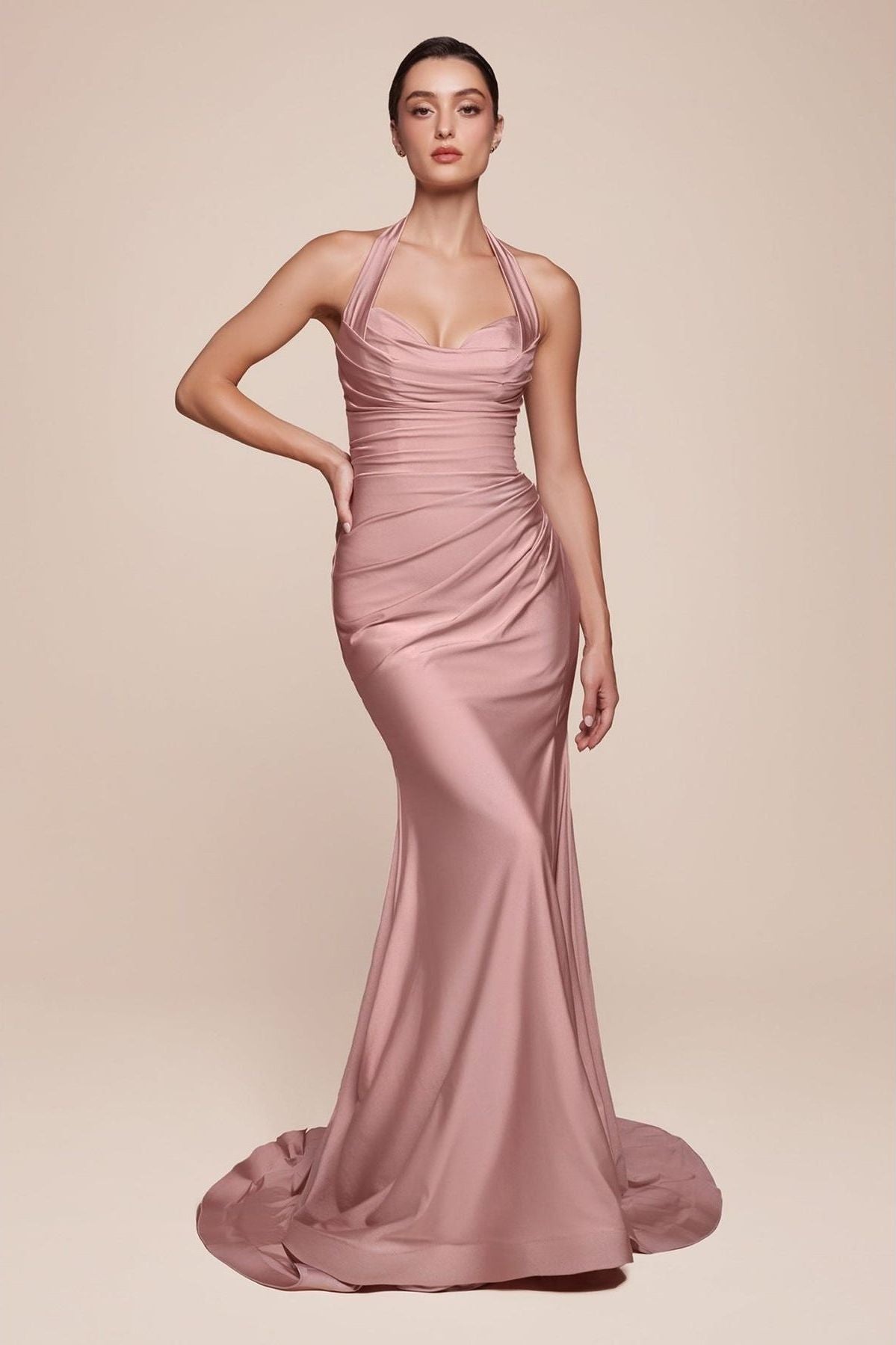 CINDERELLA DIVINE | CD796 - Dusty Rose