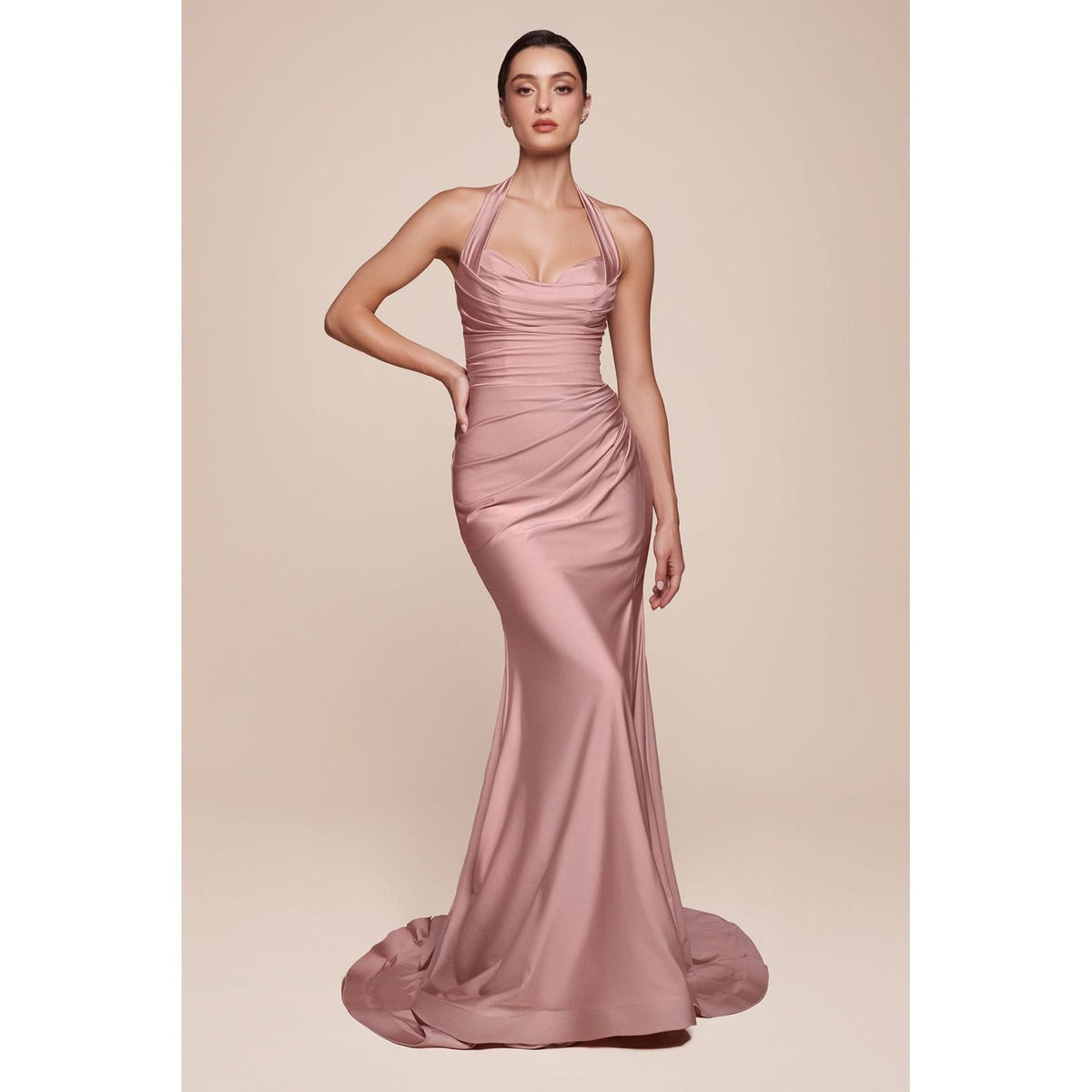 CINDERELLA DIVINE | CD796 - Dusty Rose